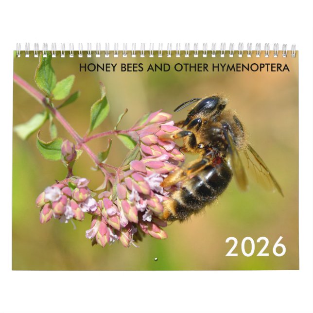 Honey bees and other hymenoptera calendar (Cover)