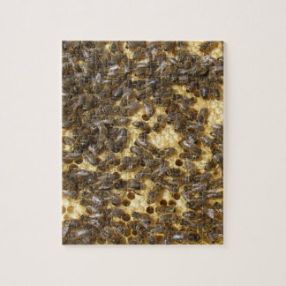 Honey Bees everywhere Jigsaw Puzzle