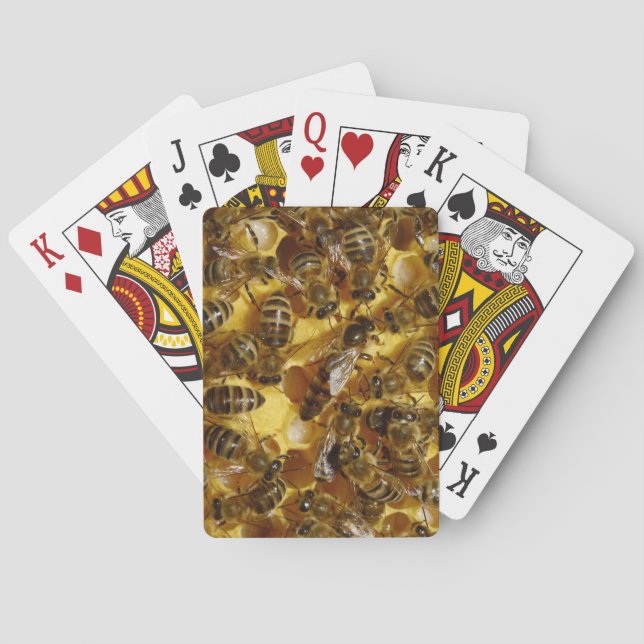 Honey Bees in Hive with Queen in Middle Playing Cards (Back)