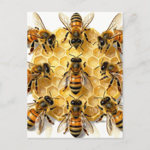 Honey Bees on Hexagonal Honeycomb Circle Postcard