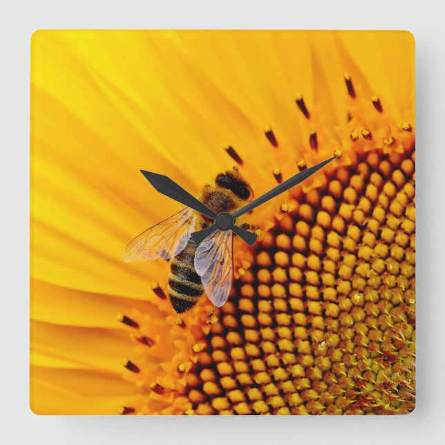 HONEY BEES (SUNFLOWER)  SQUARE WALL CLOCK (Front)