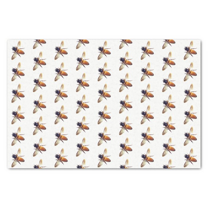 Honey Bee's Tissue Paper | Zazzle.com.au