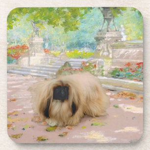 Honey Pekingese in Floral Setting Coaster