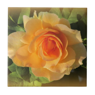 Honey Perfume Rose Ceramic Tile