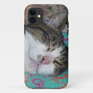 Honey Sleeping iPhone 11 Case