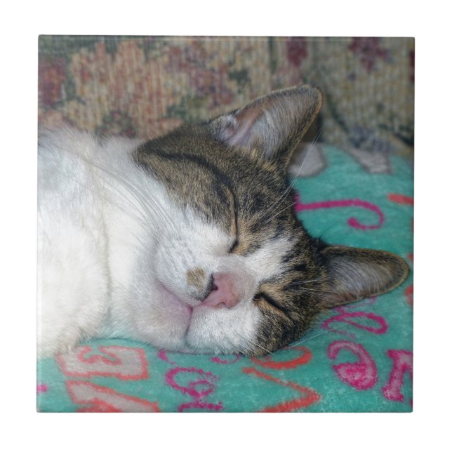 Honey Sleeping Ceramic Tile (Front)