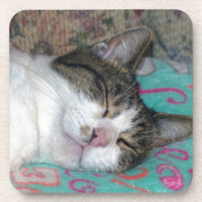 Honey Sleeping Coaster (Front)