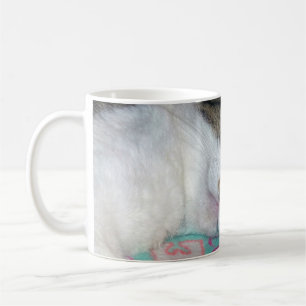 Honey Sleeping Coffee Mug