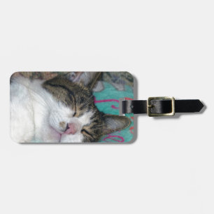 Honey Sleeping Luggage Tag