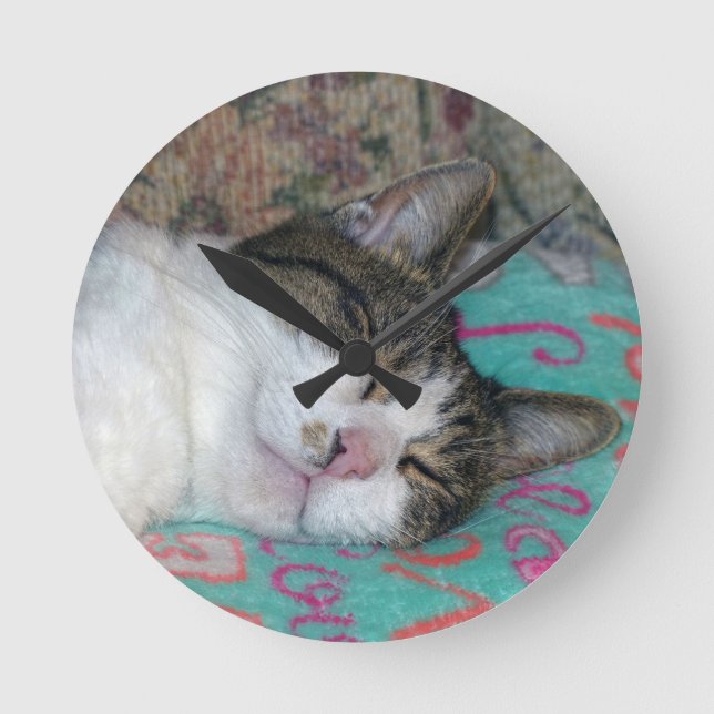 Honey Sleeping Round Clock (Front)