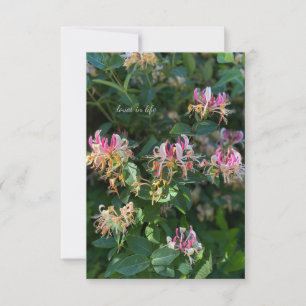 Honey Suckle Card