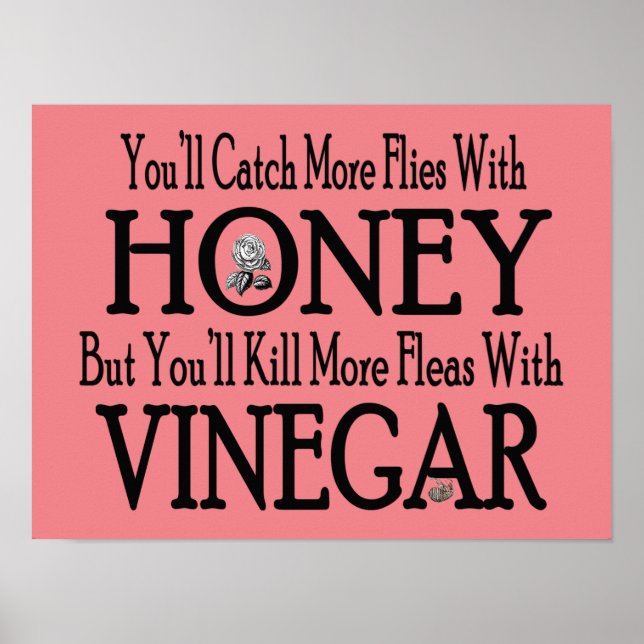 Honey & Vinegar  Poster (Front)