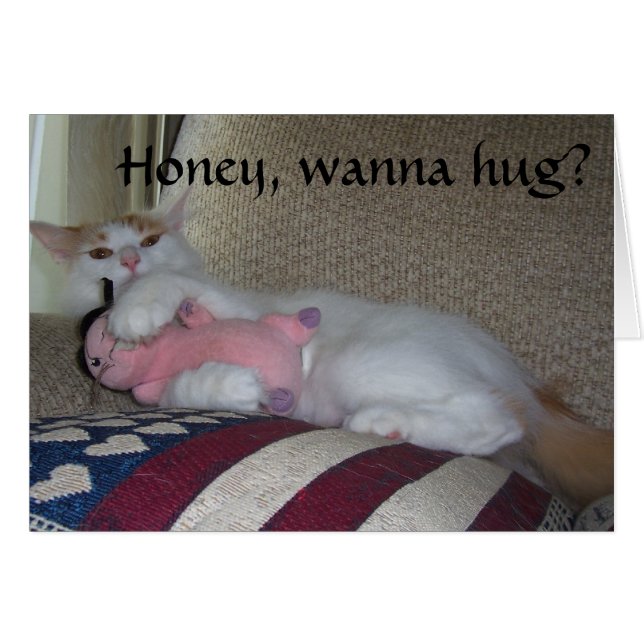 HONEY, WANNA HUG? OR ANYTHING ELSE? (Front Horizontal)