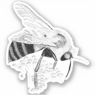 Honeybee