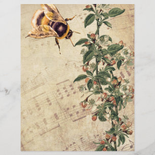 Honeybee and Apple Blossom with Music Background