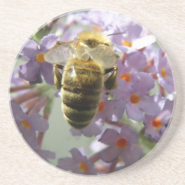 Honeybee and Buddleia Flowers Coasters (Front)
