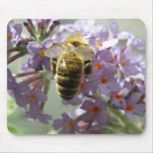 Honeybee and Buddleia Flowers Mousepad