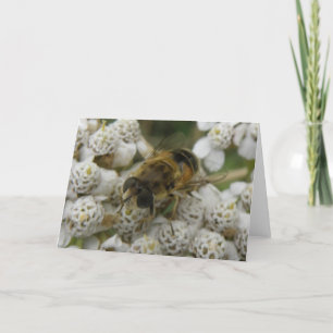 Honeybee and Flowers Greeting Card