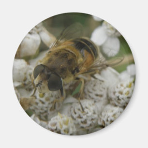 Honeybee and Flowers Magnet