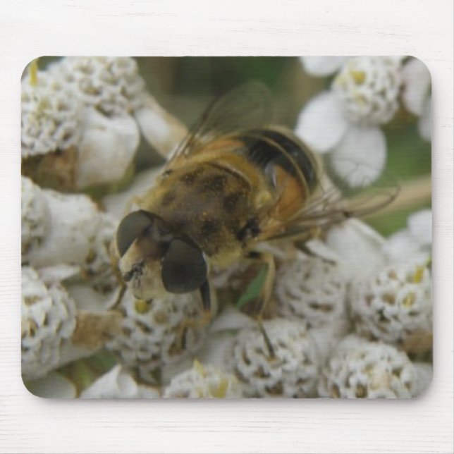 Honeybee and Flowers Mousepad (Front)