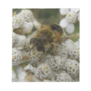 Honeybee and Flowers Notepad