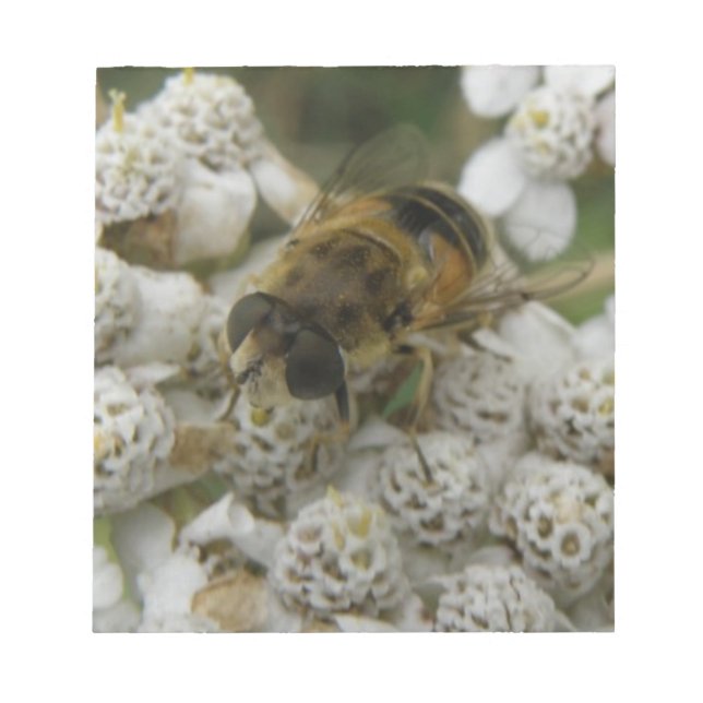 Honeybee and Flowers Notepad (Front)