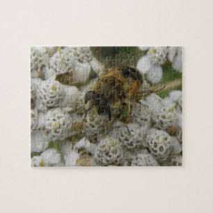 Honeybee and Flowers Puzzle