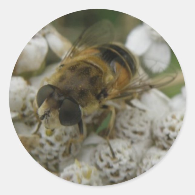 Honeybee and Flowers Sticker (Front)
