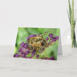Honeybee and Purple Flowers Greeting Card