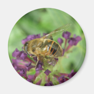 Honeybee and Purple Flowers Magnet
