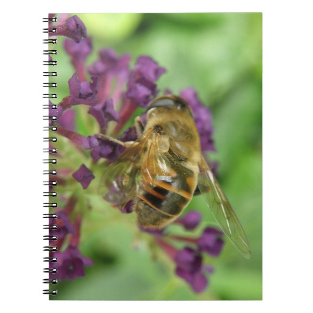 Honeybee and Purple Flowers Notebook (Front)