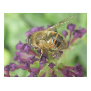 Honeybee and Purple Flowers Notepad