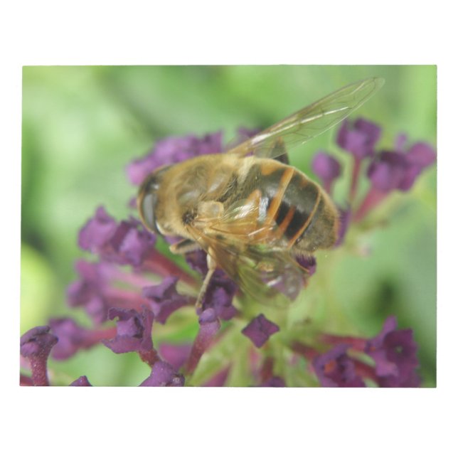 Honeybee and Purple Flowers Notepad (Front)