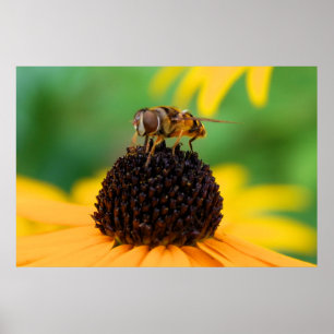 Honeybee at the Centre of Things Poster