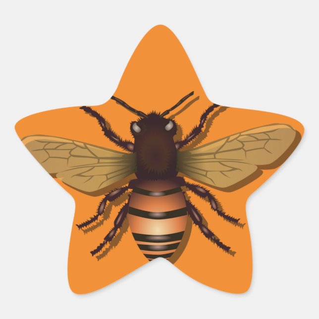 honeybee-bee-insect-fly-honey star sticker (Front)
