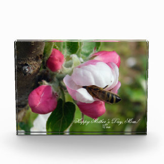 Honeybee in Pink Apple Blossom | Custom PhotoBlock