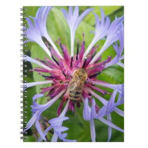 Honeybee Mandala Notebook