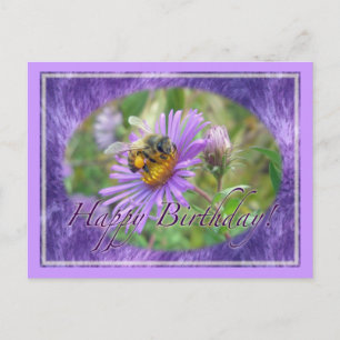Honeybee on Asters Birthday Coordinating Items Postcard