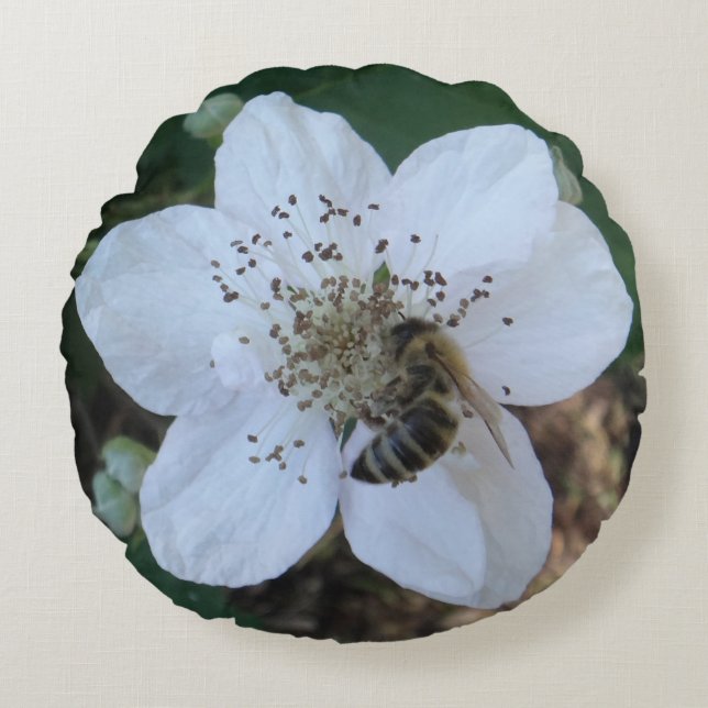Honeybee on blackberry flower round cushion (Front)