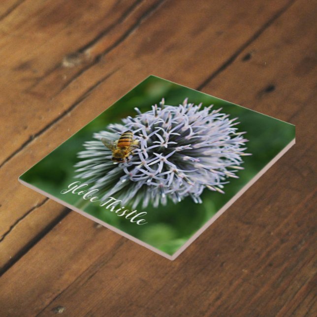 Honeybee on Globe Thistle Floral Ceramic Tile (In Situ)