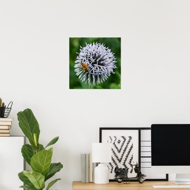 Honeybee on Globe Thistle Floral Poster (Home Office)