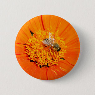 honeybee on orange flower button