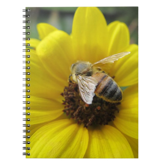 Honeybee on Sunflower Notebook (Front)