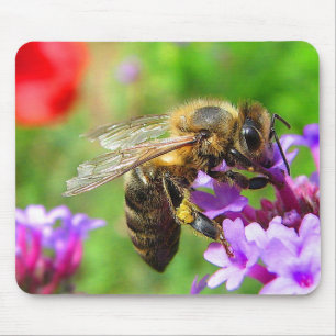 Honeybee on Verbena Mouse Pad
