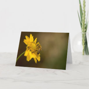 Honeybee on Yellow Flower Card