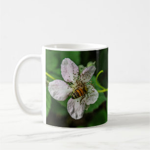 Honeybee Pollinates a Blackberry Flower Mug