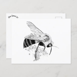 Honeybee Postcard