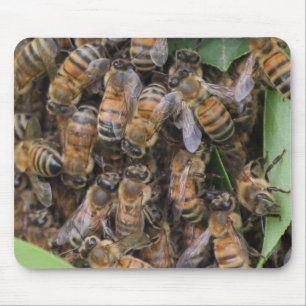 Honeybee Swarm Mouse Pad