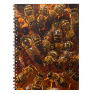 HONEYBEES 7  NOTEBOOK