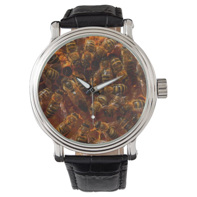 HONEYBEES 7   WATCH (Front)